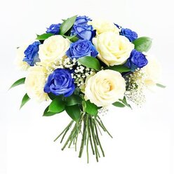 A hand-tied bouquet of roses is shown in striking clarity against a stark white backdrop, its blend of royal blue and creamy ivory tones evoking quiet reflection and sympathy, much like an unhurried walk along Highgate's leafy streets. The bouquet is round and full, with each rose thoughtfully placed. The blue roses are particularly captivating: their rich sapphire colour appears almost velvety, with gentle gradations of tone that deepen toward the centre of each bloom, giving a sense of depth and calm. Interspersed with them are cream and off-white roses, their petals softly curved and delicately layered, some blooms just opening, others fully unfurled to reveal their intricately structured hearts. Wisps of baby's breath thread through the roses, their minute white flowers creating a fine mist of texture, softening the contrast and adding an ethereal, almost weightless quality. Around the edges, deep green foliage frames the bouquet, the leaves smooth and slightly glossy, grounding the design with a sense of freshness and life. The stems are visible beneath the flowers, cut cleanly and bound together, emphasising the bouquet's hand-crafted character and readiness to accompany a condolence card or to rest beside a candle-lit memorial. As a floral tribute for Highgate homes, chapels, or small gatherings, this arrangement offers a composed, respectful beauty. Its measured balance of colour and form speaks of enduring love, remembrance, and the wish to bring comfort, even in the most difficult moments. The bouquet's quiet sophistication and subtle fragrance make it a meaningful, dignified expression of sympathy.