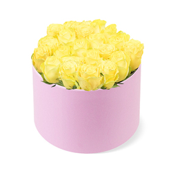 A contemporary hatbox filled with vivid yellow roses is captured against a clean white background, creating a striking study in colour and form that would suit a stylish Highgate home. The cylindrical box is pastel pink, its matte finish suggesting a velvety or suede-like texture that feels indulgent yet understated. It stands upright, edges crisp and perfectly round, like a minimalist pedestal designed to showcase the flowers above. Resting on this base is a dense cushion of approximately two dozen roses, each flower at an ideal stage of opening, petals unfurling in tight, elegant spirals. The yellow hue is warm and uplifting, ranging from buttery gold in the centres to sunlit lemon on the outer petals, conjuring a sense of optimism and easygoing happiness. The roses are arranged so closely that they form a smooth dome, with only occasional glimpses of dark green foliage peeking through, adding depth and a whisper of their garden origins. The lighting is soft and even, with no strong shadows, allowing every petal's texture and delicate curving edge to be clearly visible, much like the gentle light that filters through Highgate's tree-lined streets. The stark white background removes any distractions, directing the eye to the interplay between the gentle blush of the hatbox and the vibrant yellow blooms. This image evokes the thought of sending a thoughtful flower delivery around Highgate Village, perhaps to celebrate an exam result, a birthday near Highgate Woods, or a quiet anniversary. The entire presentation feels modern, polished, and quietly luxurious, conveying kindness and warm regard without being overly ornate.