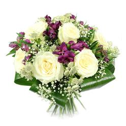 This photograph shows a luxuriously composed bouquet, floating against a crisp white background that allows each individual bloom to take centre stage. At its heart, generously open creamy white roses gather together, their velvety petals spiralling outward in layered curls that speak of softness, purity, and quiet sophistication. Twining among them are clusters of deep purple and magenta alstroemeria, their long, flared petals and delicate stripes adding vivid colour and a contemporary edge to the classic roses. Between these larger flowers, stems of white baby's breath emerge like tiny constellations, the minute rounded blossoms creating a haze of softness that unifies the arrangement and lends an almost ethereal quality. Here and there, greenish-white astrantia blossoms appear, each with a textured central dome and a ring of fine, pointed bracts that bring in a touch of wildflower charm, reminiscent of the natural, slightly untamed planting in nearby Hampstead Heath or Waterlow Park. The entire bouquet is carefully encased in broad, glossy dark green aspidistra leaves, folded and wrapped into a neat collar around the base, giving the design structure and a sleek, modern finish. The stems extend below, evenly trimmed and gathered, clearly hand-tied and ready to be carried along Highgate's leafy streets to a townhouse doorway or intimate restaurant table. Bright, even lighting reveals the interplay of cream, purple, and green while keeping the overall mood calm and refined. This floral design feels equally at home as a thoughtful anniversary gift, a centrepiece for a Highgate dinner party, or a gentle, dignified expression of condolence.