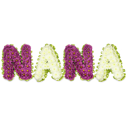 Displayed against a pristine white background, a bespoke floral lettering piece lovingly spells NANA in large, three-dimensional capitals, each letter crafted from hundreds of small chrysanthemum-like blooms for a dense, sculpted finish. The two N letters are a sumptuous deep magenta or plum, each tiny bloom marked with a pinpoint yellow center that adds depth and a dotted warmth across the surface; the A letters alternate in creamy white chrysanthemums, their pale, velvety petals offering a gentle counterpoint and an airy luminosity. Every letter is edged with a bright lime-green ribbon or closely trimmed foliage that traces an undulating frame - a crisp, verdant outline that lifts the colours and gives definition to each character. The textural interplay is striking: the clustered flower heads create a plush, almost textile-like relief, while the ribbon border introduces a subtle sheen. Soft daylight reveals nuanced shadows between blooms and a faint, clean chrysanthemum scent that evokes quiet remembrance. This personalised piece is intended as a sympathetic memorial for a much-loved grandmother, designed for viewing at wakes, funeral services or family gatherings, and is the sort of tribute we deliver locally around Highgate Village, Waterlow Park and nearby roads. Flowers Highgate prepares each arrangement with the same care and attention to detail - a thoughtful, readable expression of love and respect when families choose to celebrate a life.