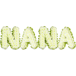 This serene tribute spells NANA in snowy white chrysanthemums, each letter sculpted with hundreds of tiny, tightly packed blooms to form soft, cloudlike capitals set against a plain white field. The chrysanthemums' delicate petals create a tactile, inviting surface that reads as both meticulously made and personally heartfelt; close inspection reveals the slight variations in bloom centers that keep the piece warm and human rather than overly formal. A pleated green ribbon or narrow foliage border cradles every character, its cool verdant tone tracing the contours and lending a refined definition that also symbolizes life continuing alongside remembrance. Gentle, even lighting across the arrangement lifts the petals' subtle shadows and highlights the freshness of the flowers, suggesting they were prepared the same morning for delivery. As a sympathy tribute often chosen for a beloved grandmother, the arrangement carries quiet consolation - purity and peace in white balanced by the living green rim. For families in Highgate and neighbouring Hampstead, this style of tribute is used frequently at memorial services and viewings held near Highgate Cemetery or in local community halls, where floral craftsmanship and sensitivity matter most. A local florist familiar with these needs will arrange stems to maintain freshness on arrival and to honor the tone of the day; the piece's simplicity and softness make it a respectful expression of love, memory, and calm reassurance when words are hard to find.