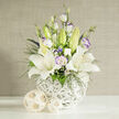 This image shows a beautifully balanced bouquet of white lilies and lisianthus arranged with the kind of quiet precision you might expect from a long-established Highgate florist. Dominating the arrangement, several large white lilies open like stars, their smooth petals arching outward to reveal speckled centres and strong yellow-orange stamens, adding warmth and life to the cool palette. Between them, lisianthus blooms in white and pale lavender tones gather in gently ruffled clusters, some petals delicately edged in violet, reminiscent of the soft tones you see on an evening walk past Highgate Wood. A scattering of pale green lily buds stands upright above the open flowers, still firmly closed and full of promise, introducing a sense of unfolding time and future blossoms that suits the symbolism of weddings and new beginnings. Fine streams of deep green foliage wind through the bouquet, light and feathery, accompanied by tiny white filler flowers similar to baby's breath that create a soft, mist-like backdrop. Tucked strategically within the design are small clusters of deep blue-purple blooms, which add depth and a rich contrast while keeping the arrangement firmly within its gentle, romantic mood. The flowers are displayed in a round white vase, its bulbous form made from intricately woven strands that resemble a modern, sculptural basket-an elegant touch that would look perfectly at home in a Highgate Village living room or at a stylish reception near Pond Square. The vase rests on a pristine white surface, accompanied by two decorative spheres in pale, rattan-like material, their open weave mirroring the vase's texture and adding an earthy note. A soft beige background with a subtle vertical woven pattern completes the composition, giving a calm, linen-like backdrop. Together, these elements create a tranquil, refined arrangement perfect for wedding collections, condolence flowers, or adding understated beauty to homes around N6.