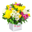 A bright, compact bouquet bursts from a crisp white cube box, photographed against a pure white backdrop so that every petal and leaf is clearly defined. The arrangement is carefully shaped into a soft dome, rich with yellow, white, and fuchsia flowers that nestle closely together. At the heart of the design, generous yellow chrysanthemums and clusters of yellow spray roses form a glowing centre, their many layered petals creating a plush, comforting texture. Among them, small white chrysanthemums with neat green centres and larger, fluffier white chrysanthemums introduce a cool, calming balance, their pale tones echoing the light that filters through the trees of nearby Highgate Wood. Threading through the bouquet, fuchsia and magenta chrysanthemums add a splash of bold colour, some with soft pink highlights, giving the arrangement a lively, modern edge. Tucked discreetly between the larger blooms are dainty pink and yellow rosebuds, suggesting new blossoms yet to open and hinting at a gentle fragrance. Framing the flowers is a collar of deep, glossy green foliage, providing structure and contrast while enhancing the sense of freshness. The white cube box acts as a minimalist container that suits contemporary Highgate homes and studios, transforming the bouquet into a ready-to-display gift. The entire composition feels like a small burst of joy-an affordable flower arrangement that could be delivered locally to mark a birthday, send thanks after a weekend visit, or simply bring a touch of colour and warmth to a windowsill overlooking the village or the slopes leading down toward Archway.