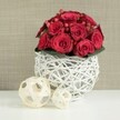 On a clean, bright white table surface, a compact, dome-shaped bouquet of crimson roses takes centre stage, its rich colour and careful structure making it an ideal wedding table arrangement for a Highgate celebration. The roses are tightly clustered so that their velvety petals overlap, forming a plush, rounded cushion of red. Some flowers remain partially closed, their petals curling inward like secrets, while others open more generously, revealing swirling centres that play with light and shadow. Between the roses, subtle clusters of small, red berries-resembling Hypericum-are tucked in, catching the light with a gentle gloss that brings a hint of sparkle and added texture. At the base, a slim ring of dark green foliage is just visible, providing a refreshing border that offsets the intensity of the red blooms.
Supporting the flowers is an eye-catching spherical vase crafted from slim, white-painted branches or wicker strands, woven into an open, basket-like lattice. The stems are concealed within, so the vase appears as a delicate white globe beneath the floral dome. Light passes through the gaps in the weave, casting soft, curved shadows on the tabletop that echo the vase's rounded shape. To the left, two decorative wicker spheres in a natural beige hue rest side by side, the larger one closer to the front and the smaller tucked just behind, their relaxed, open weave mirroring the texture of the vase in a softer tone. The backdrop is a softly out-of-focus, neutral wall-perhaps linen-textured in beige or taupe-so that all attention rests on the flowers and their sculptural container. The mood is romantic yet understated, evocative of a candlelit reception near Highgate Village or a serene dinner party overlooking the trees of Waterlow Park, where refined floral design quietly enhances the occasion.