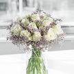 On a smooth, bright white surface, a rounded bouquet of white roses and lavender-hued filler flowers rests in a clear glass cylinder vase, illuminated by soft natural light that feels much like an overcast but gentle day in Highgate. The bouquet features approximately two dozen creamy white roses, gathered closely so their velvety petals overlap, creating a plush, almost cloud-like dome. Some roses are still shyly closed, their petals swirling inward in tight spirals, while others have eased open to reveal layered, cup-shaped blooms. Here and there, a faint wash of pale green appears along outer petals, a small but telling detail that hints at garden freshness and careful handling by an experienced florist. Threaded between the roses are soft sprays of purple statice or limonium, each stem branching into many small clusters of blossoms. These tiny flowers form a delicate veil of lavender that softens the structure and brings a calm, cool contrast to the white roses, like a mist drifting around them. The clear vase reveals straight, green stems immersed in clean water that glints subtly with the light, reinforcing the sense of clarity and simplicity. Behind and around the bouquet, the background is blurred into soft greys and whites, suggesting an airy room or hallway, perhaps near one of Highgate's quiet lanes or overlooking the greenery of Waterlow Park. The mood is introspective and tender, well suited to sympathy messages, condolence deliveries, or a floral arrangement placed thoughtfully in a space for remembrance. It feels like a bouquet meant to sit quietly and offer comfort, its understated beauty creating a gentle focal point during difficult times.