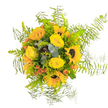 This vibrant hand-tied bouquet, composed by local florists near Highgate Wood, captures the unbridled cheer of yellow sunflowers with deep brown centres, each bloom radiating like rays across a summer sky. Tucked gracefully beside them are bright yellow roses, their silky petals unfurling in soft, inviting spirals that promise comfort and delight. Bursts of lively orange berries nestle among the blooms, adding warmth and echoing the fiery accents seen in nearby Queen's Wood during autumn. Pops of blue-green eucalyptus and dense, fresh green foliage weave below the surface, imparting a cool fragrant note and an extra layer of visual intrigue. Encircling the ensemble, delicate Asparagus fern fronds splay outward, imparting an airy, almost whimsical frame-reminiscent of clouds drifting over Highgate's panoramic view from Parliament Hill. Designed to uplift and illuminate any setting, this bouquet is ideal for birthdays, heartfelt thanks, or to simply bring a flash of sunshine into a loved one's day. Every detail, from textural contrast to harmonious colours, reflects the careful artistry and deep-rooted friendliness of Flowers Highgate's expert team.