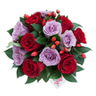 Seen from a soft top-down angle against a clean white backdrop, this hand-gathered bouquet forms a rounded, dome-like cluster of roughly ten to fifteen fully opened roses in rich, velvety crimson and a powdery lavender-mauve. Each rose unfurls in tight, sculpted spirals, their petals plush and slightly satiny, catching a gentle, diffused light that defines the folds and depth of each bloom. Glossy, dark green leaves-likely ruscus or similar foliage-nestle between the roses, their smooth texture and deep hue giving structure and a cool contrast to the warm petals. Scattered throughout the composition are vivid orange-red berries, the size and sheen of rose hips, which add a joyful, woodland punctuation and a touch of seasonal warmth against the softer mauves. Near the lower centre of the bouquet a small white gift tag peeks out; the word flower is written there in playful red script, a personal, handwritten flourish that makes the arrangement feel crafted for gifting. The overall mood is intimate and refined, a balance of classic romance and contemporary elegance that would suit anniversaries, intimate celebrations, or a thoughtful just because delivery. As a local florist familiar with Highgate's quiet lanes and green spaces-near Hampstead Heath and Pond Square-I imagine this bouquet arriving in the morning light for a doorstep surprise, its colours bright against winter grey or summer green. The composition reads as both carefully curated and naturally spirited, the berries and foliage lending a slightly wild, garden-picked feel while the twin tones of red and lavender keep the sentiment unmistakably romantic and sophisticated.