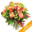 A vibrant, hand-tied autumn bouquet photographed against a clean white background, its warm palette of soft peach, coral and deep russet immediately welcoming the eye. The design is anchored by large, fully opened roses whose petals graduate from apricot centers to richer coral and burnt orange edges, their velvety folds catching a gentle, diffuse light. Sprays of bright orange and yellow freesia weave between the roses, their narrow buds and open trumpets lending a lighter, airier silhouette. A variety of lush dark green foliage-broad glossy leaves and finer, feathery sprigs-forms a verdant base, offering crisp contrast to the warm blooms. Scattered through the mass are lime-green hypericum berries and tight clusters of bright green Santini-like florets that add tactile, bead-like texture and a refreshing lift to the autumn tones. Intermittent, deep reddish-brown oak and maple leaves tuck into the bouquet, their lobed shapes and matte surfaces bringing a seasonal, rustic note. The stems are neatly trimmed and gathered, tied with natural jute twine to suggest a ready-to-vase presentation and a touch of countryside craft. In the lower right corner of the image a vivid diagonal orange banner overlays the scene, displaying the bold white words FREE CHOCOLATE, a clear graphic callout in the product shot. The overall fragrance is imagined as a warm, earthy hint of damp leaves and spice; the arrangement suits Thanksgiving tables, birthday gifts, or simply bringing the mellow light of fall indoors, and is ideal for delivery within Highgate and neighbouring Hampstead for seasonal celebrations.