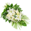 An elongated, one-sided funeral arrangement of white flowers and mixed greenery is set against a plain white backdrop, its tranquil beauty evoking the refined calm of a Highgate memorial service. The spray is oriented diagonally, fuller at the upper left where the blooms are concentrated, and narrowing toward the lower right where the greenery gently tapers. At the centre of the composition, large white Oriental lilies command attention, their open petals spreading gracefully to form bold, star-like shapes. Their throats reveal slender yellow-green stamens that add the softest hint of colour, while a few tall, unopened buds promise further flowering as time passes. Nestled around these lilies are clusters of creamy white roses, some still in tight buds, others starting to unfurl in loose spirals, lending a timeless, dignified elegance. Ruffled white carnations add soft mounds of texture, creating a sense of comforting abundance. Interspersed throughout are daisy-like white blooms, probably gerberas or a similar variety, with neat rows of petals encircling modest cream or pale yellow centres, bringing a subtle, cheerful clarity to the tribute. Small white filler flowers, like tiny stars, are threaded between the larger stems, smoothing transitions and filling the arrangement with delicate detail. Lush foliage encircles the blooms: broad, glossy dark green leaves provide structure; airy ferns soften the silhouette; and rounded eucalyptus leaves in a muted blue-green lend a fresh, contemporary touch. At the top, long, thin leaves are wrapped and gathered into a neat vertical feature, while at the lower right, slender palm fronds fan outward, drawing the eye along the spray's elegant, tapered line. The overall effect is one of gentle peace and heartfelt remembrance, perfectly suitable for a funeral or cremation service in Highgate's quiet, leafy surroundings.