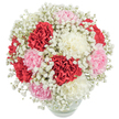 A tender, springlike bouquet arranged into a soft, rounded dome of ruffled carnations - deep crimson, blush pink, and creamy white - cradled by an airy halo of tiny white baby's breath (Gypsophila). From a gently elevated, slightly top-down view you can see how each carnation's layered petals fold and catch the bright, even light, their velvety textures creating a warm contrast against the diaphanous cloud of baby's breath that drifts between the blooms like spun lace. The blooms are densely clustered to form an almost spherical profile, the composition feeling both abundant and delicately refined; the clear, rounded glass vase below reveals neat stems and water, anchoring the arrangement without drawing the eye from the blossoms. The photograph's crisp white background amplifies the vivid reds and soft pastels, while the overall effect is one of purity and affectionate intent - a bouquet that reads as gentle celebration, suited to birthdays, Mother's Day, a quiet anniversary, or a spontaneous 'thinking of you' gift. Imagine the scent as a light, green freshness punctuated by the sweet, clove-like note of carnations, a fragrance that would sit beautifully on a mantelpiece in a Highgate kitchen or brighten a bedside table after a walk on Hampstead Heath. As a local florist might say, this arrangement delivers classic charm and approachable elegance, evoking both the festive warmth of special occasions and the domestic calm of a neighbourhood like Highgate, where small gestures carry heartfelt meaning.