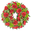 A beautiful circular memorial wreath, crafted from deep red carnations and lime green button chrysanthemums, is shown against a pure white background, much as it might appear before being carried to a graveside in Highgate Cemetery or a small chapel nearby. The ring is completely full, with no bare spaces, creating the impression of abundance and continuous care. Red carnations dominate the design; their velvety petals are layered and ruffled, forming soft, rounded blooms that sit closely together in a rich, textured band. These are punctuated at regular intervals by lime green pompon chrysanthemums, their small, globe-shaped flower heads packed tightly with tiny petals, giving a clean, structured contrast that brightens the whole composition. Around and beneath the flowers, a generous layer of foliage frames the circle: dark, feathery fern fronds spill gently outward, while variegated pittosporum leaves with creamy edges curl and overlap, adding subtle highlights and visual movement. In the lower area of the wreath, a striped green ribbon or leaf-like material loops gracefully among the greenery, its light and dark green bands harmonising with the surrounding foliage and echoing the leafy paths of nearby Waterlow Park. The lighting is soft and consistent, producing only a slight shadow that lifts the wreath away from the background and emphasizes its round, balanced form. The overall mood is calm and reverent, a blend of traditional red and contemporary lime green that conveys both deep respect and a quiet sense of hope, making it a thoughtful sympathy tribute for funerals, memorial services, and remembrance ceremonies in and around Highgate.