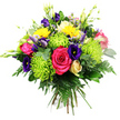 Against a smooth white background, a dense hand-tied bouquet bursts into view, its rich colours and textures evoking the charm of Highgate's leafy avenues. At the centre sits a fully opened hot pink rose, petals unfurling in generous layers that give a sense of softness and romance. Flanking this focal bloom are clusters of lime green spider chrysanthemums, each flower composed of long, slender petals that curl and stretch outward, creating a whimsical, almost playful texture reminiscent of fresh foliage in Waterlow Park. Bright yellow button-style chrysanthemums or similar small daisy blooms are dotted through the arrangement, their compact, sunny faces adding uplifting notes that catch the eye. Interspersed among these are deep indigo and violet lisianthus flowers, some with ruffled petals open to reveal their depth of colour, others still neatly closed, providing a refined, jewel-toned contrast. Rising gracefully above the main dome of flowers are elegant stems of creamy white or pale yellow freesia, their delicate trumpet-shaped blossoms aligned along the stems, suggesting a gentle fragrance and adding vertical movement. Nestled within the bouquet, smaller pale pink or peach spray roses offer a softer, romantic touch that bridges the bold colours with subtle warmth. All of the blooms are embedded in a generous layer of greenery, including slender fern fronds, broad glossy leaves, and perhaps eucalyptus-like sprigs that curl lightly at the edges, giving the design a natural, garden-fresh look. The overall impression is vibrant yet harmonious, evoking celebration, gratitude, and joy, perfectly suited to mark a birthday, a thank-you, or a housewarming, and ideal for same-day flower delivery to homes and offices throughout Highgate and the nearby N6 area.