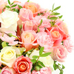 This photograph offers an intimate view of a luxurious bouquet, as though you are leaning in to breathe in the light fragrance of roses and carnations in a Highgate home. The bouquet is tightly composed and framed close, set against a bright white background that emphasises every contour and pastel shade. At its core are lush roses in a gentle spectrum of colour: milky ivory, barely yellow cream, soft shell pink, sunlit peach, and a subdued coral-salmon. These roses are caught mid-bloom, their petals unfurling in smooth spirals that feel both classic and romantic. Interwoven among them, clusters of pastel pink carnations bring a flurry of ruffles, each bloom composed of dozens of tiny, delicately serrated petals, adding a touch of whimsy and texture. Fine, elongated dark green leaves weave through the arrangement, their fresh, polished surfaces outlining the flowers and grounding the softness of the palette, like glimpses of foliage glimpsed between trees around Highgate Wood. A few buds have yet to open, their tightly furled petals suggesting new beauty still to come, as if the bouquet will keep unfolding over several days on a windowsill overlooking the sloping streets of N6. The lighting is soft and diffuse, with no harsh contrasts, giving the flowers a gentle, almost luminous presence that feels peaceful and reassuring. The overall mood is one of tender celebration and quiet intimacy, suitable for welcoming a new chapter, marking an anniversary dinner near Highgate High Street, or sending a thoughtful message of care. The image conveys the artistry and calm joy of a professionally arranged bouquet, a small but meaningful moment of beauty in everyday North London life.