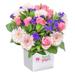 Bursting with local flair, this pink-themed bouquet is a celebration of Highgate's natural beauty, blending bright, romantic tones with a touch of woodland magic. Central to the display are elegantly layered pink roses, their forms varying from tight, sculptural buds to expansive, soft-petaled blossoms-each reflecting the seasonal shifts of nearby Parkland Walk. Interspersed throughout, pastel pink gerbera daisies gleam with rows of delicate petals and inviting pale yellow centers, lending the bouquet a gentle, joyous energy. Pops of deep purple limonium wind between the larger flowers, introducing textural complexity and recapturing the untamed edge of Highgate's green spaces. Glossy green leaves of various shapes fill out the base, providing lushness and visual dynamism, while keeping the arrangement feeling fresh and approachable. The ensemble is gathered into a pristine, white ceramic pot-a sturdy, modern container that would fit seamlessly in homes from Southwood Lane to Muswell Hill Road. A subtle, playful accent on the front-a small red ladybug next to the cheerful script of 'Little stars' in green-offers whimsy and warmth, like a secret for those who look closely. Posed on a pure white backdrop, the flowers radiate both artistry and heartfelt intent, making this bouquet ideal for birthdays, heartfelt thanks, or thoughtful well-wishes within the Highgate community.