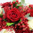 This close-up image reveals a bouquet that seems almost to breathe with colour and texture, like a romantic arrangement set on a Highgate windowsill overlooking the treetops. At its heart, a deep crimson red rose is fully opened, its velvety petals spiralling in careful layers that draw the eye inward and invite you to imagine their softness beneath your fingertips. Gathered around it are several more dark red roses, some just beginning to unfurl, others open and generous, combining to create a luxurious, almost velour-like field of rich scarlet tones. Against this background of passionate red, creamy white roses appear at intervals, their petals smooth, rounded, and luminous, bringing a gentle, calming light into the composition and evoking notions of purity and grace. Laced delicately through the bouquet are tiny red Gypsophila flowers, each one a pinpoint of colour on slender stems, together forming a filigree-like haze that adds fine detail and depth. Tucked between the blooms, glossy red Hypericum berries sit like polished beads, their rounded shapes catching small touches of light that add a festive, celebratory note, as if the flowers were arranged for an anniversary dinner in a Highgate Village restaurant. Surrounding these focal elements, rounded eucalyptus leaves in a soft, silvery-green hue mingle with deeper green foliage, providing a natural, leafy frame that feels fresh and abundant, reminiscent of the greenery found in Waterlow Park or along Highgate's leafy streets. Gentle, diffuse lighting illuminates the arrangement evenly, allowing the reds, creams, and greens to harmonise without harsh contrasts. The overall impression is one of romance, warmth, and carefully considered artistry, ideal for anniversaries, Valentine's Day, or any heartfelt flower delivery across Highgate where you want the bouquet to communicate emotion as clearly as any written message.