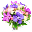 A vibrant, joyful bouquet stands out against a pure white backdrop, its colours and textures singing together in harmonious detail. Deep violet Vanda orchids, their petals open wide and traced with fine veining, give the arrangement a sense of drama and movement, almost like butterflies caught in mid-flight. Around them, rounded blush pink peonies bloom in full, the densely layered petals creating a soft, cloud-like effect that feels romantic and reassuring. Pale yellow-tinted and soft pink roses with creamy edges spiral outward from tight centres, some still half-closed as if slowly waking, each one nestling into a bed of glossy emerald-green leaves. Tiny white filler flowers, resembling delicate sprays of miniature chrysanthemums, are scattered throughout, adding gentle sparkle and ensuring the rich purples and pinks remain light and uplifting. The foliage encircles the blooms in a fresh, structured collar, its lustrous surface catching subtle highlights that suggest careful conditioning and expert handling by a local Highgate florist. At the base, the stems are cleanly gathered and tied with a purple ribbon and a whisper of sheer mesh, the neat finish signalling that this bouquet is ready to be carried to a celebration or placed in a favourite vase at home. The lighting is bright and clear, intensifying the vivid hues while allowing the pastels to remain soft and serene. Overall, the bouquet radiates elegance balanced with exuberance, perfectly suited to mark a milestone birthday, an engagement, or a housewarming in Highgate, whether it's being delivered to a flat overlooking Highgate Cemetery or a family home tucked near Waterlow Park by Flowers Highgate.