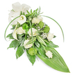A serene, elongated sympathy spray in soft whites and verdant greens rests against a clean white background, arranged in a refined teardrop cascade that tapers gently to the lower right. Creamy white roses, some fully unfurled with layered, velvety petals and others held in tight bud, form the heart of the design; their gentle scent seems to lift like a quiet exhale. Sculptural white Calla lilies, pristine and trumpet-shaped, punctuate the upper left with modern, architectural lines that draw the eye. Bright lime-green button chrysanthemums - small, spherical and textured like tiny green pom-poms - provide lively contrast and a tactile, almost mossy vitality among the blooms. Fine sprays of baby's breath (Gypsophila) float through the composition like soft clouds, softening edges and adding ephemeral airiness. The foundation is a rich collage of foliage: deep glossy leaves offer weight and depth, variegated white-and-green foliage gives delicate contrast, and feathery fern fronds at the top lend a woodland whisper. Two long, vivid green blades arch gracefully across the surface, introducing movement and a contemporary silhouette, while a broad, smooth bright-green tropical leaf forms the pointed tail of the spray. A subtle cream fabric bow at the upper left adds a classic, comforting accent. Under gentle studio light the textures read clearly - matte ribbon, satiny petals, glossy leaves - and the overall mood is one of quiet respect and remembrance. This arrangement's balance of tradition and subtle modernity makes it well suited for a funeral service or memorial tribute in the Highgate area, conveying calm, dignity and thoughtful care.
