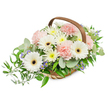 A tranquil, elongated floral basket rendered in soft pastels and fresh greens, described with the care of a local Highgate florist. The arrangement sits in a light brown, hand-woven willow basket with a curved wooden handle, its blossoms spilling gently over the rim to create a relaxed, flowing silhouette. Dominant are several pristine white Gerbera daisies, their broad petals opening like small suns around deep brown centers that draw the eye and give the composition a luminous focal point. Nestled among them are clusters of pale pink carnations whose ruffled, frothy petals add a tender, romantic texture and a sense of delicate abundance. Filling the spaces are many small, daisy-like spray chrysanthemums in soft white and pale buttery yellow, their compact heads lending a cheerful, comforting fullness. Tiny star-shaped blue-lavender accent flowers peek through the foliage, offering cool notes of contrast against the warm neutrals. The greenery is generous and varied: rounded silvery-green eucalyptus leaves lend a calming, modern hush and a faint aromatic lift, while glossy, darker ruscus branches trail gracefully from the left side of the basket, creating a subtle cascade. Other leafy greens build a lush, verdant base, their textures ranging from smooth and glossy to softly matte. The lighting is bright and even, capturing the sheen on each petal and the natural grain of the woven basket, evoking soft morning light you might find near Highgate Village. Overall the piece reads as serene and thoughtful-a comforting gift or a gentle tribute suitable for a bedside table, mantel, or a quiet condolence gesture that communicates purity, solace, and understated beauty.