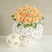 A softly glowing floral centerpiece sits on a bright white table, showcasing a generous dome of peach and apricot roses, each bloom tightly packed so their velvety petals touch. The roses deepen to a warm orange at their centers, fading to paler, almost blush edges, creating the effect of candlelight gathered into petals. Fine sprays of tiny white baby's breath thread between the roses, their cloud-like clusters adding lightness and a gentle, romantic haze. Here and there, small flashes of dark, glossy green foliage peek out from beneath the blossoms, giving the arrangement depth and a touch of garden freshness, as if the stems had just been trimmed in a Highgate back garden near Waterlow Park. The bouquet rises from a striking spherical vase made from intricately woven white strands, like wicker or rattan, crisscrossing into an airy lattice that feels both modern and handmade. Through its open structure, shadows and hints of stems can be glimpsed, adding to the sense of texture and craftsmanship. Resting in front of the vase, on the same clean surface, are two decorative spheres in a lighter, natural tone, possibly bamboo or rattan, one slightly larger than the other. Their open, geometric weave echoes the main container and ties the whole composition together. Behind, a soft, light beige wall with a fine, subtle texture creates a calm, uncluttered backdrop. The lighting is gentle and even, like soft afternoon daylight filtering through a North London window, casting only the faintest shadows. The overall scene feels serene and elegantly styled, ideal as a wedding table centerpiece in a Highgate venue or a refined piece of home decor for a townhouse just off Highgate High Street, radiating warmth, grace, and quiet celebration.
