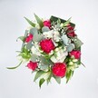 From a bird's-eye view, a generous, rounded bouquet fills the frame against a pure white background, every colour and texture sharply defined. At the heart of the design, large hot pink carnations with deeply ruffled petals create a plush, almost velvety cushion of colour, their frilled edges casting tiny shadows that add depth and movement. Nestled among them are rich fuchsia roses in various stages of bloom, some tightly furled buds promising to open, others fully unfurled to reveal their classic spiral centres, evoking romance and celebration. Threaded between the bold pinks are soft clusters of daisy-like white spray chrysanthemums and clouds of delicate white baby's breath, their tiny starry flowers giving the whole bouquet a light, airy halo. A few slender white buds, reminiscent of alstroemeria or lily blooms, peek out elegantly, suggesting quiet grace amidst the exuberance. Surrounding the blossoms, layered greenery builds a lush frame: cool, round eucalyptus leaves in silvery green tones mingle with long, bright green blades and darker, structured foliage folded neatly to form a collar, giving the arrangement a polished, professional finish. The lighting feels like gentle daylight, making every shade of pink, white, and green appear crisp and fresh, as if the bouquet has just been tied in a Highgate studio ready for same-day delivery to a townhouse off Highgate Village or a flat overlooking Waterlow Park. The mood is joyful yet comforting, suited to birthdays, heartfelt congratulations, or simply lifting someone's spirits on a grey North London afternoon, a bouquet that seems to carry the scent of an early spring walk up Swains Lane.