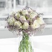 A serene bouquet of creamy white roses and lilac-tinted limonium stands in a clear cylindrical glass vase, bathed in soft, natural light like a calm Highgate morning. Each rose is fully open yet perfectly formed, its velvety petals spiralling inward in gentle layers that catch the light with a subtle, almost pearly glow. Around this cluster of white blooms, the limonium creates a delicate haze of pale lavender, its tiny blossoms and fine stems forming a misty halo that softens every edge. The stems, visible through the transparent vase, rest in clear water, their fresh green lines adding a quiet, refreshing contrast to the pale flowers above. The overall palette is cool and tranquil, suggesting stillness and reflection rather than drama, as if the bouquet has been placed on a windowsill overlooking the trees around Waterlow Park. The composition feels carefully balanced: the rounded, substantial shapes of the roses set against the feathery, cloud-like filler, the clean glass adding a contemporary note to the timeless roses. This arrangement would be at home on a simple wooden table in a Highgate village townhouse or on a bedside cabinet, offering a moment of peace after a long day. It suits many tender occasions-a message of sympathy, a thoughtful get-well gesture delivered to homes off Archway Road, or a graceful thank-you. The impression is of quiet luminosity and gentle hope, as if the flowers are offering a soft-spoken reminder to breathe, pause, and take in a small pocket of beauty.