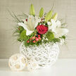 The image captures an artfully composed floral arrangement in a white woven basket, where white lilies and red roses blend into a harmonious display that feels both classic and contemporary, well-suited to Highgate's village charm. The basket sits low and sturdy, its weave clearly visible and painted a clean white that enhances the brightness of the flowers. Rising up from the centre, stems of lilies hold a mix of unfurling buds and fully opened blooms, their star-shaped petals stretching outward in pristine white, suggesting a fresh, pure fragrance that could easily perfume a drawing room near Highgate Hill. Surrounding them, lush red roses form pockets of intense colour, their velvety petals layered closely, hinting at romance, devotion, and celebration. Small cushions of vivid green dianthus nestle among the larger blooms, offering a moss-like, tactile texture that feels energetic and modern. Here and there, polished red hypericum berries cluster along slender stems, catching the light with a subtle sheen, while fine sprays of gypsophila soften any sharp lines, creating a gauzy veil of tiny white flowers. Trails of slender greenery arc outward, breaking the formal outline of the basket and giving the display a natural, garden-picked feel, as if gathered from an abundant border on a warm morning overlooking the Heath. Gentle daylight illuminates each element, from petal edges to the grain of the basket, highlighting the craftsmanship involved. This design would sit beautifully at a wedding breakfast, civil ceremony table, or as a thoughtful floral gift delivered to a Highgate residence, quietly expressing gratitude, love, or support.