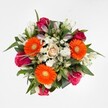 As if inspired by a morning stroll along Highgate's tree-lined streets, this bouquet radiates cheer and artistry. From a high perspective, the vibrancy of three orange gerbera daisies instantly draws in the eye-their warmth anchored by sunny yellow-green hearts. Around them, deeply pigmented roses in blush magenta unfold layers of romance and joy, while a single peach-cream rose at the centre provides a subtle, nurturing grace. Woven throughout, white alstroemerias with soft green foliage hint at spring's renewal, while clouds of dainty white spray chrysanthemums add texture and purity to the composition. The whole is held together by a generous ring of glossy, fresh greenery reminiscent of Highgate's signature parks and gardens. Exuding both classic and contemporary appeal, this bouquet is equally suited to celebrating life's joyful occasions or expressing thoughtfulness, delivered with care by local Highgate florists to homes throughout N6.