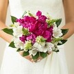 A close-up photograph shows a bride standing in her white gown, cradling a vivid, round bouquet that seems to glow against the soft fabric of her dress. At the heart of the arrangement are large fuchsia and magenta peonies, their densely ruffled petals layered like silk, creating a plush, almost cloud-like centre. They are surrounded by clusters of white alstroemeria, each slender petal marked with fine maroon speckles that draw the eye inward, adding delicate pattern and refinement. Threaded through the bouquet are spiky green buds and textural filler blooms, their pointed forms and bright chartreuse tones giving the design a fresh, modern edge. Deep green, glossy leaves frame the flowers, cupping the composition so that it feels full, balanced, and carefully hand-tied. The bride's hands, with neatly manicured pale pink nails, encircle the stems, hinting at a quiet, anticipatory moment just before the ceremony. The background falls away into a soft blur, likely the interior of a Highgate venue or a townhouse near Waterlow Park, allowing all attention to rest on the interplay of colour and texture in the flowers. You can almost imagine the gentle, sweet fragrance of the peonies and the cool rustle of the greenery as she moves. Crafted with a blend of classic romance and bold colour, this bouquet feels perfectly suited to a spring or summer wedding in Highgate, adding a confident burst of joy to a timeless bridal silhouette.
