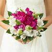 In this image, the bridal bouquet feels like it could have been gathered from a hidden garden just off Highgate High Street, then refined by a skilled florist's hand. At its heart, sumptuous magenta peonies billow outward, their petals layered in soft, generous ruffles that look almost cloud-like against the bride's fingers. The magenta hue is rich and saturated, somewhere between raspberry and plum, giving the arrangement a focal point of confident, romantic colour. Encircling this centre, clusters of white alstroemeria bloom with a more understated grace, their slim petals etched with fine burgundy streaks that recall delicate pen and ink drawings. These intricate markings lend the bouquet a subtle complexity, inviting a second, closer look. Slender green buds, poised on short spikes between the larger flowers, inject a feeling of vitality and renewal, like new shoots emerging in spring along the paths of nearby Hampstead Heath. A base of deep green foliage supports the display, the leaves firm and cool to the touch, adding structure and a natural, woodland freshness. The bouquet is photographed in gentle, natural daylight, which glides across the flowers, revealing shifts in tone and texture-from the velvety depths of the peonies to the satiny surface of the alstroemeria and the crisp, slightly waxy leaves. The imagined fragrance is light and green with a whisper of sweetness, as if the flowers were just cut that morning. Perfect for a bride who loves classic romance with a contemporary edge, this bouquet captures not only the beauty of the blooms but also the emotion of the moment: anticipation, joy, and the steady calm of knowing you are exactly where you're meant to be.