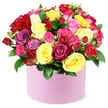 From Flowers Highgate, this vibrant hatbox bouquet overflows with colour and life. A round, light pink hat box with a smooth matte finish cradles a densely packed hillside of roses in seven glorious hues: deep crimson red, sunny yellow, bright fuchsia, soft pastel pink, elegant magenta, lavender-purple, and creamy white. The blooms vary in size, from large, fully opened roses with softly unfurling petals to smaller spray roses and tiny buds, creating a lush, domed silhouette that seems to spill gently over the rim. Between the petals, dark green, glossy leaves peek out, lending a natural contrast and a sense of freshness. The pastel box enhances the bouquet's vibrant palette, giving the arrangement a sleek, contemporary edge while preserving a romantic mood. Set against a clean white backdrop, the colours glow with brightness and depth, as if lit by morning sun. The bouquet carries a light rose fragrance and a feeling of celebration-perfect for birthdays, anniversaries, Mother's Day, or a Valentine gesture-and it feels crafted to be shared with loved ones near Highgate and beyond, from Hampstead to Crouch End to Muswell Hill. It's the kind of gift that communicates warmth, admiration, and joy, offered with dependable same-day or next-day delivery across the area, reaching as far as nearby streets and parks you know well in this corner of North London.