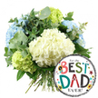 The image shows a heart-warming Father's Day arrangement, photographed against a pure white background to highlight its colours and shapes. Dominating the left and central area is a rounded bouquet of hydrangeas, clearly hand-tied with the care of an experienced local florist. At the centre, large heads of creamy white hydrangeas create a plush focal point, their countless small petals blending into soft, cloud-like spheres. Around these central blooms, light blue hydrangeas appear notably on the left side and towards the top, infusing the arrangement with a gentle, cooling tone reminiscent of the calm atmosphere around Highgate's quiet side streets. Along the lower left and right edges, lime-green hydrangea clusters bring a lively, refreshing pop of colour, suggesting new beginnings and joyful family moments.   

Sprigs of silvery-green eucalyptus and darker green foliage thread between the hydrangea heads, adding depth, contrast, and hints of movement. The eucalyptus leaves, with their smooth surfaces and rounded shapes, hint at a clean, slightly herbal fragrance, as though the bouquet has just been lifted from a flower bench overlooking Highgate Hill. At the bottom, the long, straight stems are gathered neatly and tied, ready for placing into a vase at home or in an office. To the bottom right of the bouquet sits a shiny round foil balloon. It features a bright white central panel, framed at the top and bottom by strong black and white stripes that give it a bold, graphic border. In the centre, the message For the BEST DAD EVER! is written in a spirited mix of fonts and colours. BEST and DAD stand out with letters in red, teal, green, and black, some with playful polka dots or stripes. Scattered around the wording are colourful stars and small dots, along with a neat No. 1 rosette motif, adding to the celebratory feel. Together, the cool hydrangea bouquet and fun balloon create a touching gift idea for recognising a much-loved father in Highgate on Father's Day, a birthday, or any occasion when gratitude deserves a bright visual expression.