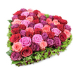 A densely packed heart-shaped floral tribute photographed against a pure white backdrop, shown from a slightly elevated angle so the full, lush form reads clearly. The centre is a tight mosaic of garden roses - dozens of heads gathered to form the unmistakable heart - their petals ranging from deep, velvety crimsons and burgundies through soft blush and pastel pinks to brighter fuchsia and richer purplish-magenta tones. Each rose sits plush and layered, some petals still gently furled while others are opening into ruffled, tactile blooms, creating a quilted texture that draws the eye inward. Around the floral core a crisp, fine fringe of deep green foliage frames the heart; the delicately serrated leaves and stem tips, like trimmed carnation greens or similar textured sprigs, provide a clear, verdant outline that makes the colourway sing. Small dark red or burgundy berries or tiny accent blooms are tucked discreetly into the green edge, lending depth and a quiet contrast to the saturated roses. The lighting is bright and even, revealing the sheen on each petal and the soft shadow in the folds, while the white background keeps the composition serene and focused. There is a gentle scent one can imagine - classic rose sweetness with a hint of fresh green - and the overall mood balances romance and respectful tenderness. This heart-shaped design reads as a generous expression of love, remembrance, or celebration, the kind of piece you might choose for anniversaries, Valentine's messages, or thoughtful memorials in and around Highgate.