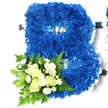 The photograph features a bold funeral flower tribute shaped into a capital B, displayed against a bright white backdrop that allows the colours and textures to stand out clearly. The letter is fully covered in royal blue chrysanthemums, each flower carefully placed so that the blooms create an even, densely packed surface. Their petals are layered and slightly ruffled, giving the arrangement a soft, cushion-like appearance, while the blue tones shift subtly from lighter royal highlights to darker, more introspective shades. A border of white satin ribbon runs around the outer edges and inner lines of the B, its smooth, lustrous finish offering a clean contrast to the textured flowers beneath. Attached at the lower left sweep of the letter is a smaller accent bouquet that softens the strong blue. This cluster features several creamy white roses-some closed, some just beginning to open-and small white spray chrysanthemums with neat, daisy-like petals. Together, they introduce a sense of purity and gentle comfort. The flowers are cradled by abundant greenery, including fine fern fronds and broader green leaves, which frame the pale blooms and echo the natural feel of a garden posy. The composition feels peaceful and composed, perfectly suited as a personalised funeral tribute for a loved one in Highgate, whether placed in a local church, a crematorium chapel, or a quiet corner near Waterlow Park. Crafted with the sensitivity of an experienced florist, this floral B expresses remembrance, respect, and the enduring presence of a name held dearly in the hearts of family and friends.