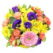 Set against a pure white background and photographed directly from above, this round bouquet appears as a vibrant, carefully crafted medley of colour and texture, much like a pocket-sized garden gathered from the terraces of Highgate Village. At the lower centre of the design, a large pink gerbera daisy commands attention, its soft, orderly petals radiating evenly around a raised, greenish-yellow centre that offers both contrast and detail. Encircling this main bloom, sunny yellow chrysanthemum daisies extend outward, their numerous, fine petals and pale green hearts giving the impression of miniature suns, bright and uplifting, as if capturing a moment of afternoon light over Waterlow Park. Interlaced among these are velvety lisianthus in a deep indigo-purple, some open like trumpets showcasing their pale centres, others in elegant, tapered buds that lend a sense of height and layering. Coral-orange carnations are scattered throughout the bouquet, their frilly, multi-layered petals introducing a soft, rippling texture that gently breaks up the more structured daisy forms. Between the flowers, glossy green leaves and a few variegated stems with creamy borders peek through, framing the colours and grounding the arrangement with a fresh, natural feel. The overall effect is cheerful and celebratory yet refined, making it ideal for birthdays, thank-you gestures, or a bright surprise delivered to a home near Highgate Hill. Every blossom appears thoughtfully placed, reflecting the practiced eye of a local florist who understands how to balance warmth, contrast, and emotional resonance in a single, radiant bouquet.