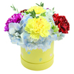 A compact, joyful flower box seen against a crisp white backdrop: a round pastel yellow hatbox overflows with a dome of mixed blooms, arranged to feel both generous and intimate. In the centre two large, ruffled lemon-yellow carnations command attention, their delicately frilled petals catching a soft, even light that suggests early morning or neutral studio illumination. Encircling those sunny hearts are voluminous clusters of periwinkle-blue hydrangea; each tiny floret contributes a cloud-like, textured cushion in shades of powder blue with whispers of white at the petal edges. To the left a bold magenta-fuchsia carnation pushes slightly upward, its layered petals offering a lively counterpoint, while a velvety crimson-red carnation anchors the right side, adding depth and a warm, plush contrast. Slender sprigs of fresh green foliage thread through the composition, their matte leaves adding structural rhythm and a cool, natural punctuation. The smooth cylindrical box is a gentle lime-yellow, subtly playful with scattered pastel dots in light blue, soft pink and pale green-small irregular shapes and tiny white speckles that nod to springtime celebrations or a whimsical baby-shower theme. The overall texture oscillates between the hydrangeas' soft cloudiness, the carnations' ruffled density, and crisp paperboard of the container. This arrangement reads as a bright, thoughtful gift: cheerful enough for birthdays and get-well wishes, elegant enough to mark an anniversary or a simple thank-you. Imagine it arriving on a neighbour's doorstep in Highgate Village, a compact, colourful gesture that lifts a room with both colour and tactile richness.