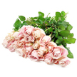 A bountiful cluster of soft blush roses rests in a wide, relaxed fan on a snow-white background, capturing that understated, thoughtful elegance so often chosen for sympathy flowers in Highgate. Around two dozen roses are gathered together, their heads angled slightly in different directions so they appear to flow like a gentle wave of pink and cream. The petals are fine and velvety, with a muted dusty-rose tone at the base that gradually lightens towards the edges, where hints of ivory and faint lavender shadows create a subtle depth. Some blooms remain partially closed, holding their spiral shape with quiet restraint, while others have opened more generously, inviting the eye into their layered centres. Beneath this soft canopy of petals, the sturdy green stems and lush leaves stretch backwards, providing structure and a deep, restful contrast to the pastel flowers. The pure white backdrop strips away distraction, so the bouquet seems to exist in a moment of stillness, much like a pause in conversation in a living room overlooking Highgate Woods. This arrangement feels calm, respectful, and sincere-ideal for resting on a memory table at a service, or for sending to relatives near Highgate Hill as a tender expression of sympathy. The roses themselves become the message: a quiet, continuous line of care, support, and remembrance, offered with dignity and grace.