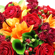 The photograph offers an intimate view of a sumptuous bouquet, its rich reds and exuberant oranges filling the frame with warmth, like a cosy Highgate sitting room glowing in late-afternoon light. At the heart of the arrangement, large, velvety red roses are fully open, each bloom composed of meticulously layered petals curling into tight spirals that invite the eye to linger. Their deep crimson colour suggests romance, devotion, and emotional depth, making them a natural focal point. Surrounding the roses, open orange lilies spread their wide, star-shaped petals, some gently recurved, adding a dynamic sense of movement and radiance. Their vivid orange hue feels like a burst of sunlight, reminiscent of a clear sky above Highgate Cemetery's tree canopy, bringing cheerfulness and energy to the design. Interspersed among these larger flowers are smaller rosebuds and miniature roses in darker shades of burgundy and crimson. Their compact, tightly furled petals lend a layer of complexity and an almost nostalgic charm, hinting at stories and sentiments still unfolding. Lush green foliage anchors the arrangement: broad, glossy leaves cup and support the blooms, while finer, feathery sprigs thread through the spaces, creating a natural, slightly untamed texture. One elegantly curved leaf in the foreground arcs softly, like a stroke of calligraphy in green, guiding the viewer's vision deeper into the bouquet. Nestled throughout the flowers are clusters of small, round hypericum berries, their glossy ruby-red surfaces glinting in the soft, bright light, adding playful texture and a festive touch. The lighting highlights every dewy petal and polished berry, giving the impression of freshness and care, as though the bouquet has just been arranged in a Highgate florist's studio and prepared for same-day delivery to mark an anniversary, celebrate good news, or simply brighten someone's day with a bold yet refined expression of affection.