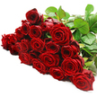 A rich cascade of red roses stretches horizontally across a crisp white background, forming an unbroken line of romance and colour. Between two and three dozen long-stemmed roses have been laid out so that their heads nestle closely together, creating a plush, almost theatrical band of crimson blooms. Each rose is full of detail: velvety petals curl inwards in classic spirals, some flowers wide and open, others still holding their layers a little closer, like secrets waiting to be revealed. The red hue is deep and luxurious, with darker shadows near the centre of each bloom and lighter, glowing highlights along the petal edges where the light touches. At the upper right, a cluster of strong, dark green stems and glossy leaves anchors the arrangement, with greenery threading subtly between the blossoms, offering a cool contrast to the warmth of the red. The background is an immaculate white, giving the bouquet a sense of calm, modern elegance-much like the airy interiors and quiet streets around Highgate and nearby Muswell Hill. Viewed from a close, slightly elevated angle, the roses feel immediate and tangible, as if placed on a workbench in a Highgate florist's studio just before being wrapped for a same-day delivery down Shepherd's Hill or towards Archway. The bouquet's mood is unabashedly romantic, ideal for anniversaries, Valentine's gestures, or any moment when words feel too small and only a sweep of classic red roses will do.