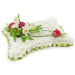 A tender, rectangular pillow of fresh white chrysanthemums, each tiny bloom packed closely to form a plush, cloud-like surface that invites a fingertip to rest and linger. The soft, even field of white is edged with a pale lime-green satin ribbon, pleated into a gentle frill that frames the cushion like a linen case and introduces the faintest shimmer of colour. On the upper left, a carefully composed cluster creates the arrangement's focal point: two open white Oriental lilies with pale yellow stamens and a graceful closed bud rise above a handful of deep burgundy spray carnations, their ruffled petals offering a warm, consoling contrast to the pristine chrysanthemum ground. Varied greenery - feathery fern fronds and broader glossy leaves - sits behind the blooms, giving the cluster depth, texture, and the quiet scent of freshly cut foliage. From this left grouping a single, slender arch of bright green bear grass or salal curves across the pillow toward the right, an elegant line that leads the eye to a solitary deep-red rosebud resting near the upper right corner, just beginning to unfurl its velvety petals. The arrangement is photographed against a pure white background in soft, even light so that the whites read luminous, the burgundy reads rich, and the lime trim reads delicate. Intended as a sympathy cushion for a funeral or memorial, the composition balances purity, dignity, and heartfelt remembrance - a traditional floral tribute that offers comfort and quiet presence for a wake, a chapel service, or a graveside at Highgate Cemetery or a local memorial in the village.