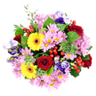 In this overhead view, the bouquet rests on a clean white background, forming a full, rounded cluster of blooms that feels both joyful and refined, much like the atmosphere of Highgate itself. Deep red roses are scattered throughout the design, their petals tightly rolled into elegant spirals that create small pockets of shadow and convey a sense of classic romance. Interspersed between them, bright yellow Gerbera daisies open outward, their sunburst petals circling dark, almost black centres, bringing an immediate hit of cheerful colour that calls to mind sunny afternoons near Highgate Ponds. Filling the spaces around these bold flowers, soft pink and light purple chrysanthemums spill their delicate, spiky petals, each with a pale yellow-green centre that introduces a gentle, almost whisper-soft texture to the composition.
Woven among the roses, gerberas, and chrysanthemums are slender stems of lisianthus in deep purple, lavender, and cool bluish tones. Their bell-shaped blossoms, some fully open and others just beginning to unfurl, add an air of quiet sophistication and a fluid sense of movement, as if the blooms might shift gently in a breeze. The entire arrangement is framed and threaded with fresh greenery: broad, smooth leaves offer structure and depth, while smaller, rounded leaves reminiscent of eucalyptus bring in cooler shades of green and delicate, rounded silhouettes. Small clusters of glossy red hypericum berries dot the bouquet, their bright colour and polished surfaces catching the light like tiny ornaments, lending a subtle festive note. Soft, even lighting reveals each texture and hue with clarity, making the bouquet appear fresh and vibrant, as though it has just been arranged by a Highgate florist and is about to be delivered for a birthday, anniversary, or simple gesture of affection to someone in the local community.