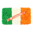 In this image, a meticulously arranged floral cushion styled as the Irish national flag is presented on a plain white background, radiating both colour and meaning. The piece is rectangular and lies flat, its entire surface densely covered in petite, textured blossoms. The left third is a deep, velvety green, composed of uniform flower heads set closely together to form a smooth, uninterrupted block of colour. The middle third is pure white, the blossoms slightly fluffy and soft, creating a gentle, peaceful centre. The right third blazes with bright orange flowers, their warmth completing the traditional green, white, and orange pattern associated with Ireland. Running diagonally from the lower left area of the white segment up into the orange section is a glossy coral-red ribbon. The satin ribbon has a slight sheen, catching light in subtle highlights, and across it, in bold silver capital letters, is the word GRANDAD, marking this as a heartfelt memorial for a grandfather. The ribbon is neatly pinned into place with small white studs that sink into the petals without disturbing the clean lines. The neutral background keeps all attention on the colours and textures of the tribute. You can imagine this piece resting at a funeral service in the Highgate area, perhaps close to Waterlow Park or one of the historic churches, where its strong colours and simple design offer a powerful focus for remembrance. It honours Irish heritage and family affection in a single, carefully crafted floral gesture.