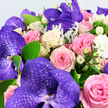 This close-up photograph reveals a richly layered bouquet that feels at once modern and romantic, as if prepared for a special delivery somewhere along Highgate's leafy streets. Standing prominently are several striking purple Vanda orchids whose broad, slightly cupped petals are covered with an intricate, darker violet web-like pattern, giving them depth and a luxurious, almost velvet-like presence. Surrounding these statement blooms is a generous halo of roses in harmonising tones: soft blush pink, richer mid-pink, and creamy white, with some petals flushing gently into a pale buttery yellow toward their centres. The roses are perfectly opened, their spiralling petals smooth and full, suggesting they are at the peak of their beauty. Threaded between the orchids and roses are clusters of smooth white berries, likely Hypericum, which lend a neat, rounded structure and a subtle, wintry charm. Delicate white filler flowers-tiny daisylike chrysanthemums or miniature carnations-dot the bouquet, creating little pockets of softness that help to blend the stronger colours together. The foliage adds another layer of interest: bright, oval green leaves imbue the arrangement with a sense of freshness and life, while misty, silver-green Dusty Miller trails softly among the blooms, its velvety leaves providing a cool, refined contrast. All of this is set against a plain white background, making the colours appear crisp, clean, and carefully balanced. The bouquet feels perfect for a heartfelt occasion in Highgate, whether placed on a windowsill with views over Hampstead Heath, used as a luxurious table centre for an intimate gathering, or sent as a romantic gesture that speaks quietly of taste, care, and affection.
