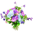 A richly textured floral bouquet is shown against a pure white background, its colours and shapes standing out with the same clarity as a painting hung in a Highgate gallery. At its core, voluminous heads of pale sky-blue hydrangea form a plush, domed centre, each one made up of countless tiny petals that create a soft, cloud-like effect and a calm, cooling presence. Twisting through this gentle blue canvas are vivid orchids in fuchsia and deep purple, likely Vanda or Phalaenopsis, whose broad, velvety petals carry intricate speckles and delicate veins, bringing an element of exotic refinement that feels both modern and timeless. Rising above the main body of the bouquet and trailing slightly along its edges, deep purple clematis blooms extend on slim, flexible stems, their star or bell shapes lending height, movement, and a hint of wild garden charm, similar to climbers you might notice along pathways near Waterlow Park. Nestled among these statement flowers are clusters of miniature roses in blush pink and cream, their tightly layered petals offering soft romance and a whisper of traditional English rose fragrance. All of the blooms are set against an abundance of lush green foliage, with broad glossy leaves and finer stems creating depth, contrast, and a sense of freshness. The stems are neatly gathered and tied, revealing the attentive craftsmanship of a Highgate florist preparing the bouquet for delivery to a townhouse off Swains Lane or an apartment overlooking Hampstead Heath. This arrangement radiates elegance, joy, and gentle thoughtfulness, suitable for milestones, quiet thank-yous, or simply transforming an ordinary day into something memorable.