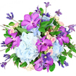 This image showcases an opulent, hand-tied bouquet set before a pure white background, a simple stage that lets each colour and form shine as clearly as views from Highgate Hill on a bright afternoon. The main impression is of full, cloud-like heads of powder-blue hydrangeas that form a plush, rounded base. Each dome consists of countless small petals, their edges soft and slightly curved, creating a gentle, velvety texture and a cool, serene wash of blue. Emerging from this airy foundation are striking Vanda orchids in rich fuchsia-purple. Their wide, flat petals are patterned with tiny darker spots and veins, giving them a refined, almost digital appearance that lends a sense of modern luxury and makes them natural focal points in the design. Between these standout flowers, clusters of petite spray roses in blush-pink and cream are nestled close. Some roses remain tightly closed, others just parting to reveal layered centres, bringing romance, intimacy, and delicate detail. Slender clematis stems weave through the bouquet, bearing elongated buds and star-shaped open flowers in deep indigo and lavender, which add height, movement, and a whisper of wild garden charm, reminiscent of climbing blooms around the edges of Highgate Wood. Encircling everything is lush emerald-green foliage, with smooth leaves and fine stems that frame the blooms, create depth, and accentuate the brighter petals. The arrangement is shaped into a rounded, slightly overflowing composition that feels both generous and thoughtfully curated, perfect for occasions such as birthdays, anniversaries, or thank-you gestures. Soft, even lighting enhances the natural sheen of each petal and leaf, capturing the bouquet's sophisticated yet tender mood, suitable for elegant home décor or same-day flower delivery throughout Highgate and N6.
