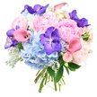 Photographed against a pristine white background, this round bouquet seems to float, its mix of pastel pinks, cool blues, and rich purples capturing the quiet elegance often associated with Highgate homes and garden squares. At the centre, full light pink peonies open in generous layers of ruffled petals, creating a sense of depth, softness, and heartfelt romance. Nestled around them, sky-blue hydrangea heads form a lush, cloud-like base, each made from numerous small florets that blend into a calm, cushiony mass of colour. Standing out amid these gentle tones, deep violet Vanda orchids appear at intervals, their broad, open petals speckled with intricate patterns that add a vivid, modern punch to the design. Rosy pink calla lilies, some brushed with a subtle peach glow, wind through the bouquet in graceful arcs, their smooth, trumpet-shaped blooms bringing sleek structure and a sense of motion. Between the larger flowers, you can notice petite pale pink spray roses, their tightly packed petals creating tiny, detailed bursts of romance, as if they were freshly snipped from a hidden courtyard garden near Highgate Hill. Around the outer edges, dark green foliage provides depth, while silvery-grey Dusty Miller foliage lends a velvety, frosted texture that softens the entire composition. The stems are carefully aligned and tied at the base, clearly visible beneath the lush mass of blooms, suggesting a freshly made, hand-tied bouquet ready for delivery. The overall impression is of gentle luxury and joyful sentiment, making this arrangement ideal for weddings, anniversaries, or sending warm congratulations to loved ones in the Highgate area.