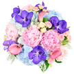 This photograph shows a lavish, dome-shaped bouquet set against a crisp white background, its colours and textures reminiscent of an elegant gathering in a Highgate home. Dominating the composition are large, pastel pink peonies, their many ruffled petals unfurling in opulent layers that create full, cushiony blooms with a distinctly romantic presence. Nestled closely among them, sky blue hydrangeas form soft, rounded clusters, each made up of countless tiny florets that lend the arrangement a pillowy, cloud-like depth and a sense of calm, rather like the open vistas from nearby Hampstead Heath. Interwoven throughout are vivid fuchsia-purple Vanda orchids, instantly recognisable by their speckled, patterned petals that introduce an exotic intensity and a touch of high drama. Coral pink calla lilies extend from the central mass of petals in elegant, trumpet-shaped curves, their sleek lines adding modern sophistication and guiding the gaze through the bouquet. Dainty light pink and creamy white spray roses are tucked into the smaller spaces, providing a fine, intricate texture and an air of classic romance that suits the historic charm of Highgate Village. Soft, silvery-green dusty miller and deeper green foliage peek from beneath and between the flowers, framing the brighter tones and giving the arrangement a cool, grounded base. The palette of pink, blue, purple, and coral feels both harmonious and vibrant, evoking joy, warmth, and quiet opulence. This bouquet would be a fitting centrepiece for an intimate wedding near Highgate Hill, a special anniversary dinner overlooking London's skyline, or a heartfelt thank-you gift delivered to a cherished address in N6, where its beauty and craftsmanship can be fully appreciated.