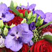 This image offers a close, almost tactile view of a romantic purple and red bouquet, the kind you might have delivered to a loved one overlooking Highgate's leafy streets. At its heart, Vanda orchids unfold their broad petals in graduated shades of lavender, violet, and deep plum, each one adorned with fine darker flecks and veining that give them a strikingly exotic, luxurious appearance. Surrounding them are velvety crimson roses, their petals tightly layered into full, spiralled blooms that embody passion, loyalty, and classic romance. Threaded through this rich tapestry of colour are clusters of deep purple Lisianthus, some open and softly ruffled, others still held in slender, lime-tipped buds that suggest new beginnings and slowly unfolding emotions. The flowers are nestled into a cushion of lush emerald foliage, the leaves fanning outward and curving gently to frame the bouquet and add a sense of natural movement, reminiscent of the greenery in nearby Highgate Wood. Here and there, small accents of chartreuse-green filler and the subtlest glimpses of pale pink or creamy white petals catch the light, providing delicate contrast without disturbing the dramatic overall palette. Soft, diffused lighting washes over the arrangement - like gentle daylight falling through a Highgate townhouse window - enhancing the interplay of shadows and highlights across the smooth orchid petals and plush roses. The bouquet feels both opulent and deeply personal, ideal for anniversaries, Valentine's surprises, or an intimate celebration near Waterlow Park, where a carefully chosen floral gift becomes a powerful expression of love and appreciation.