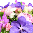 Set against a pristine white background, this richly detailed bouquet feels like a moment of floral theatre, the sort of arrangement you might discover in a Highgate townhouse prepared for a special celebration. Dominating the scene are striking Vanda orchids in layered tones of lavender and deep violet, their broad petals patterned with a fine, netted veining that suggests both delicacy and strength. These orchids rise above a sea of peonies, whose soft, billowy petals form generous spheres of colour that shift from light ballet pink to deeper blush rose, bringing a sense of romance and gentle warmth reminiscent of a sunset over Highgate's skyline. Nestled among them, pink roses in varying stages of bloom lend structure and narrative: some blossoms are open and inviting, their centres elegantly spiralled, while others remain as rounded buds, hinting at feelings still unfolding. Punctuating the design, clusters of small white pom-pom chrysanthemums or similar textured blooms appear like scattered stars, their crisp whiteness and spiky petals adding freshness and a whisper of playfulness. The flowers are embraced by a collar of verdant, glossy foliage, with some leaves softly variegated along the edges, mirroring the orchids' intricate markings and adding depth and movement to the arrangement. Under soft, even lighting, each element-from the velvety orchid petals to the ruffled peony edges-is sharply defined, yet the overall impression remains harmonious and soothing. This bouquet would be a graceful choice for Highgate anniversaries, birthdays, or thoughtful thank-you gestures, and it carries the quiet luxury and natural beauty that suit the tree-lined streets and hidden gardens of N6, ready for delivery to homes and celebrations across the area.