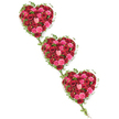 Three luxurious heart-shaped funeral tributes appear suspended on a clean white background, arranged in a soft diagonal that guides the eye from the upper left to the lower right. Each heart is generously filled with roses in romantic tones of red and pink, creating a rich tapestry of colour. There are deep crimson and burgundy roses that feel solemn and profound, bright scarlet blooms that bring a note of warmth, and lively fuchsia and gentle blush roses that soften the overall effect. Some flowers are tightly closed, others just starting to open, and many are fully blossomed, revealing plush, layered petals that create a velvety texture across each heart. Fresh ivy curves around the outside of the hearts and winds through the roses, its glossy, dark green leaves forming a natural border and adding a sense of movement. Slender ivy strands reach from one heart to the next, symbolising connection-three separate tributes bound into one flowing expression of love. The stark white background highlights every nuance of colour and form, making the hearts easy to envision in detail. This design feels deeply appropriate for a Highgate farewell, perhaps on its way to a service near Highgate Cemetery or a quiet chapel off the main village streets. Crafted with sensitivity, the arrangement carries an air of grace and reflection, offering families a way to express devotion, gratitude, and remembrance through flowers that feel as thoughtful and layered as their memories.