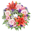 The image shows a full, circular sympathy wreath resting against a bright white background, its colours and forms appearing clear and serene. At first look, two large Asiatic lilies in a warm coral-orange shade stand out, one placed high on the ring and the other lower down, their open, star-shaped petals and long stamens suggesting both strength and tenderness. Around these focal lilies, an abundance of roses in blush and lavender-pink tones creates a soft, comforting feel. Each rose is well-opened, with layers of velvety petals gently curving outward, evoking affection and cherished memories. Interspersed among the roses are lisianthus flowers in complementary hues, from pale pink to rich purple, their ruffled, cup-shaped blossoms adding depth and a touch of quiet drama. Punctuating the design, blue-grey eryngium thistles contribute a spiky, sculptural texture and a cooler note that balances the warmer shades. Fine sprays of tiny lavender-blue filler flowers, reminiscent of statice, weave through the design, softening edges and creating an airy, cloud-like effect. The entire wreath is grounded on a generous bed of greenery, with rounded silvery eucalyptus leaves, delicate fern fronds, and other foliage overlapping to form a deep green, natural frame. Here and there, unopened lily buds rest among the leaves, hinting at blooms still to come. Tucked near one of the lilies, folded bright green leaves demonstrate precise, contemporary floristry. The scene evokes a thoughtful tribute, like one you might see delivered to a service near Highgate Cemetery or a quiet gathering around Waterlow Park, offering comfort, respect, and a sense of continuous love.